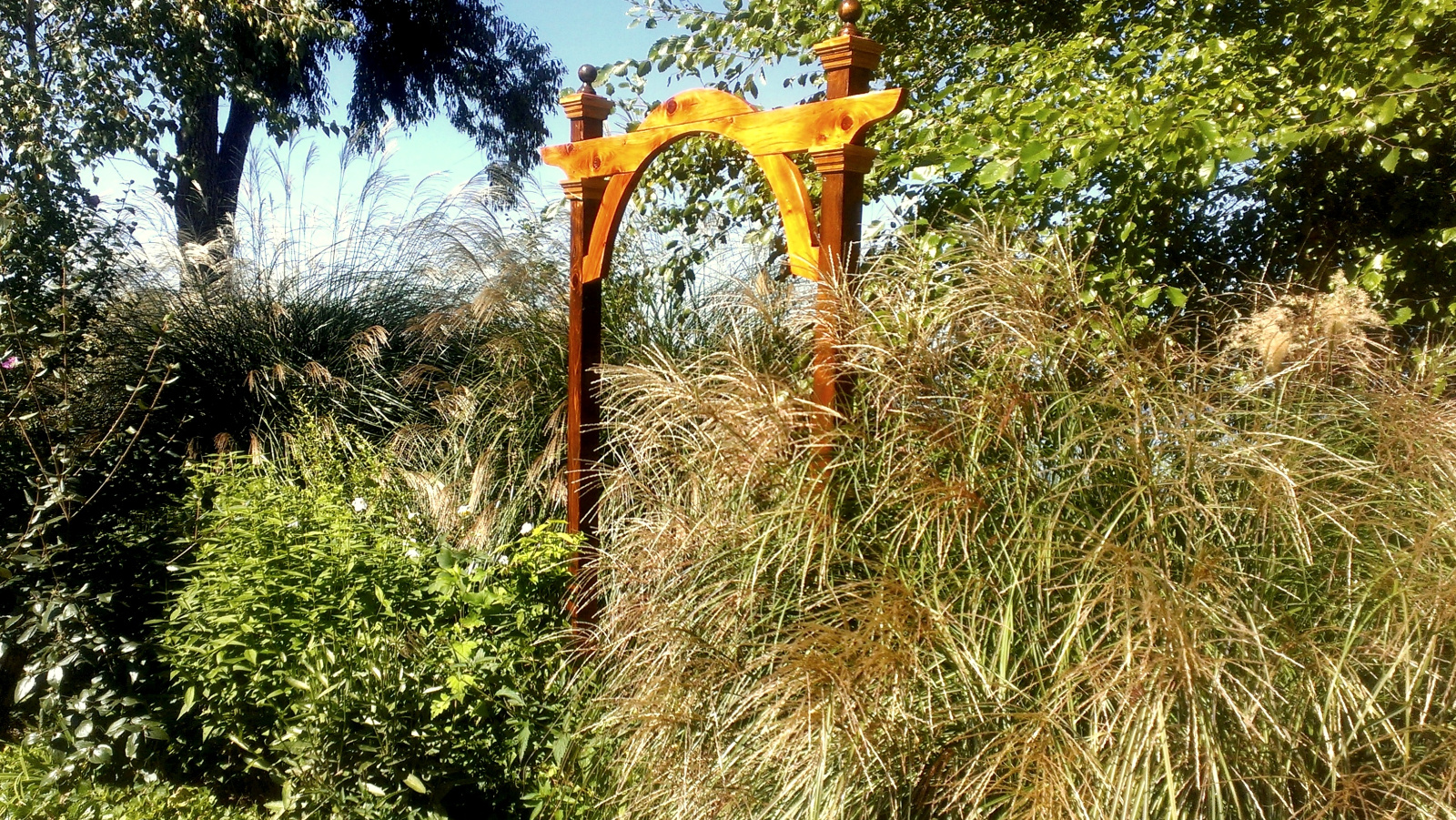 Close-up of the portable Archway and the beautiful Grasses